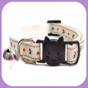 Kitten-089